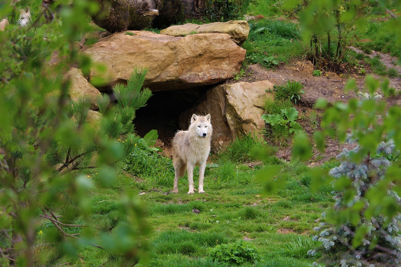 Top des meilleures villes pour une nuit d’hôtel près du Zoo de Beauval !